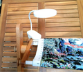 Rechargeable clip on light
